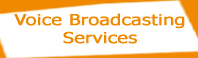 Voice Broadcasting, Voice Mail Broadcasting, Voice Messaging, Political Campaign Solutions, Reminder 

Solutions